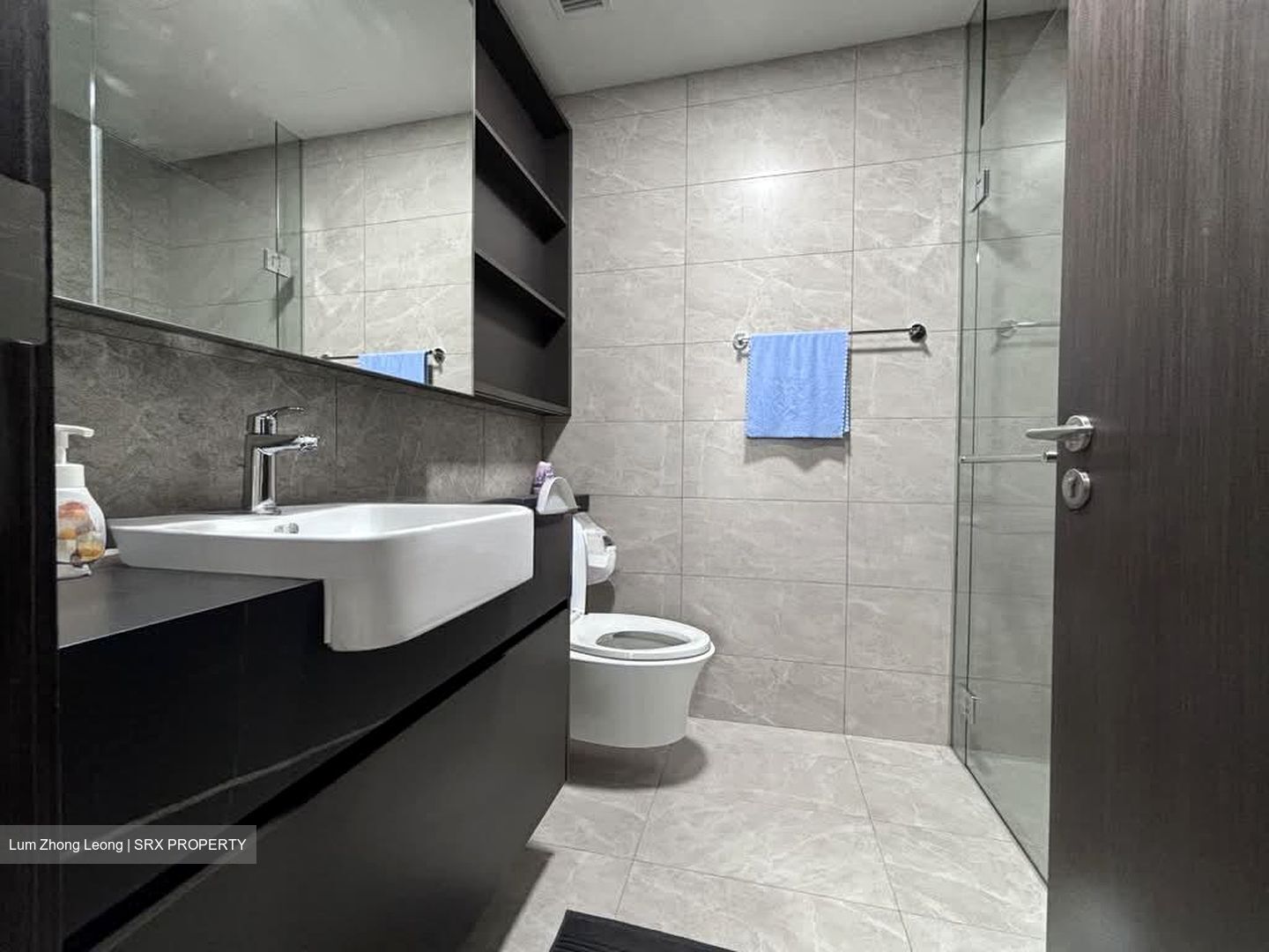 Parc Clematis (D5), Apartment #560941521